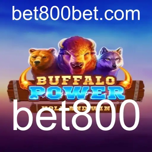 Explorando o Mundo de BuffaloPower: Um Guia Completo
