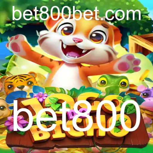 Descubra o Fascinante Mundo do Jogo do Bicho com Bet800